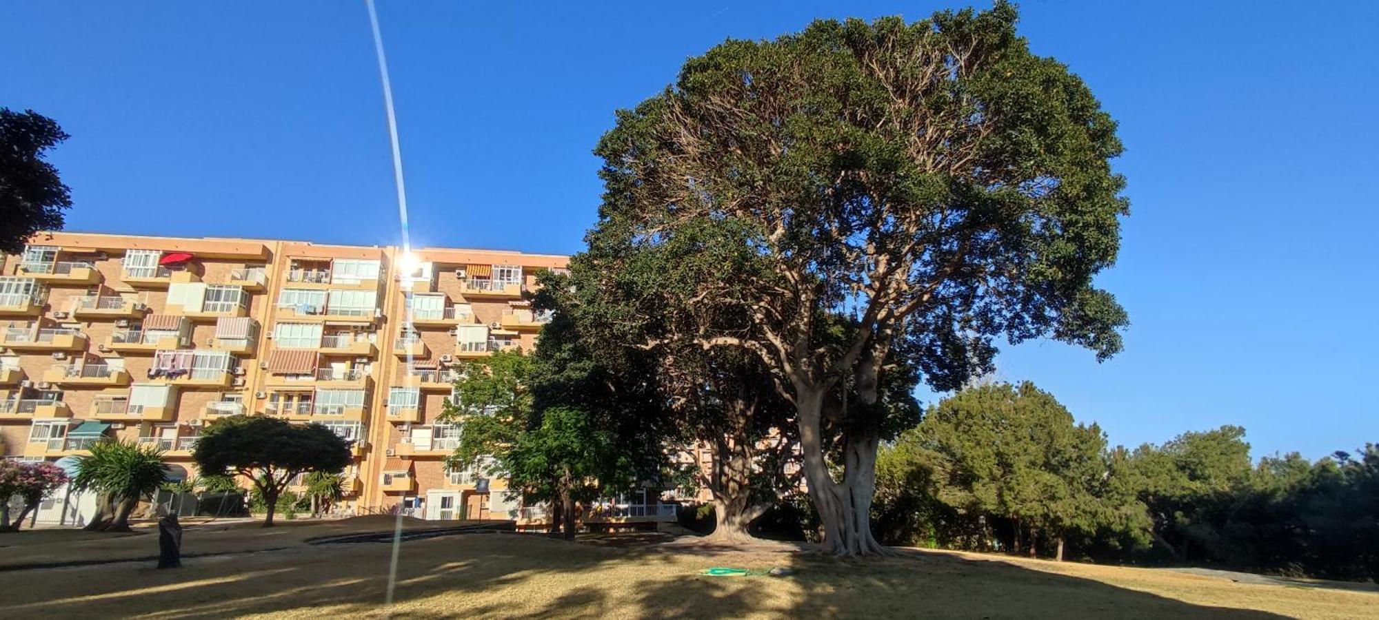 Apartamento Aguila, Arroyo De La Miel, 贝纳尔马德纳 外观 照片